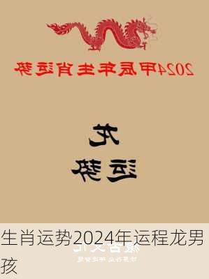 生肖运势2024年运程龙男孩-第2张图片-滋味星座网