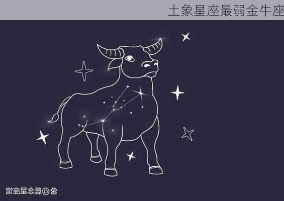 土象星座最弱金牛座-第2张图片-滋味星座网