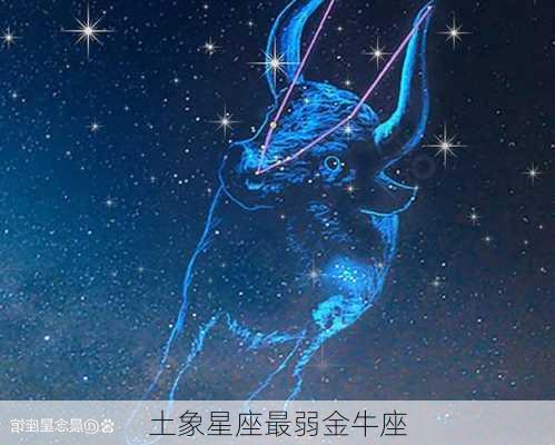 土象星座最弱金牛座-第3张图片-滋味星座网