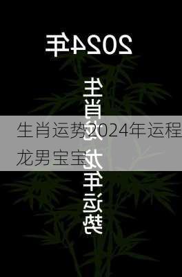 生肖运势2024年运程龙男宝宝-第3张图片-滋味星座网