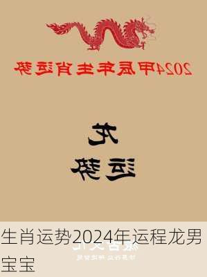 生肖运势2024年运程龙男宝宝-第2张图片-滋味星座网