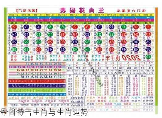 今日特吉生肖与生肖运势