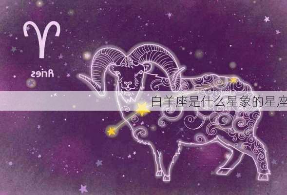 白羊座是什么星象的星座-第2张图片-滋味星座网