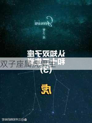 双子座属虎男生-第1张图片-滋味星座网