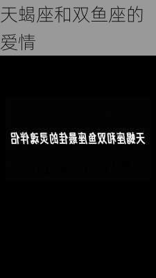 天蝎座和双鱼座的爱情-第2张图片-滋味星座网