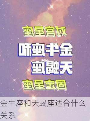 金牛座和天蝎座适合什么关系-第2张图片-滋味星座网