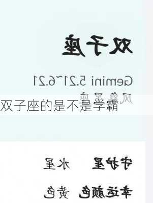 双子座的是不是学霸-第3张图片-滋味星座网