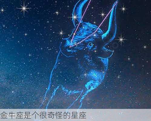 金牛座是个很奇怪的星座-第2张图片-滋味星座网