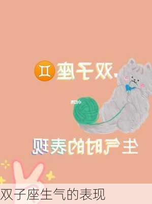 双子座生气的表现