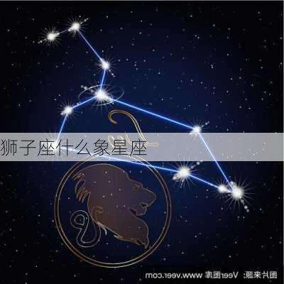 狮子座什么象星座-第2张图片-滋味星座网