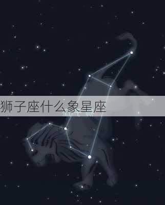 狮子座什么象星座