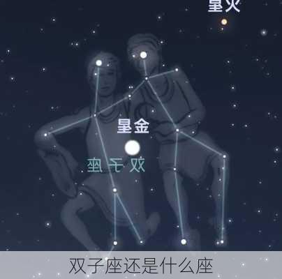 双子座还是什么座-第2张图片-滋味星座网