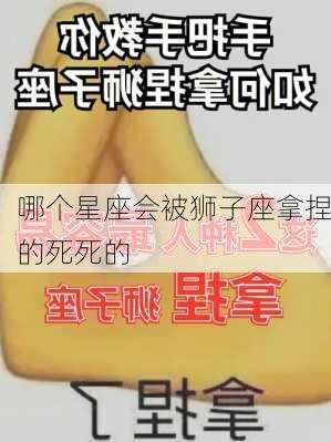 哪个星座会被狮子座拿捏的死死的-第2张图片-滋味星座网