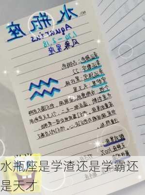 水瓶座是学渣还是学霸还是天才