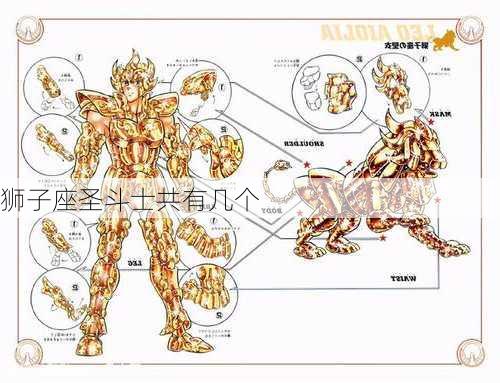 狮子座圣斗士共有几个