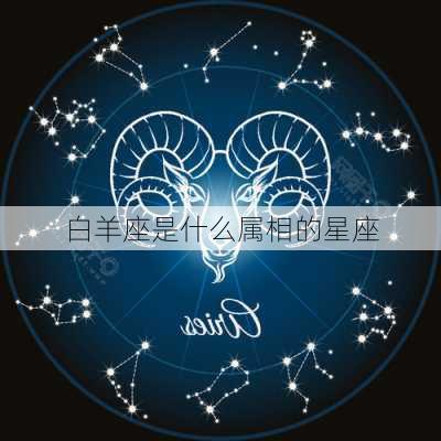 白羊座是什么属相的星座-第2张图片-滋味星座网