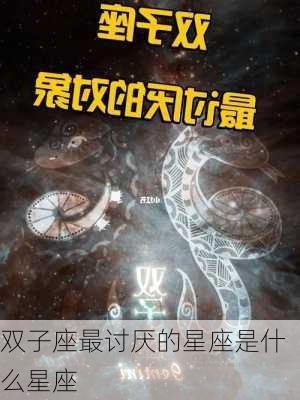 双子座最讨厌的星座是什么星座-第2张图片-滋味星座网