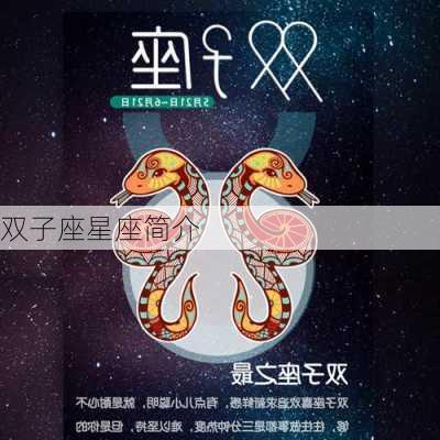 双子座星座简介-第2张图片-滋味星座网