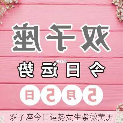 双子座今日运势女生紫微黄历-第3张图片-滋味星座网