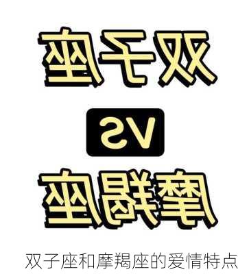 双子座和摩羯座的爱情特点-第2张图片-滋味星座网