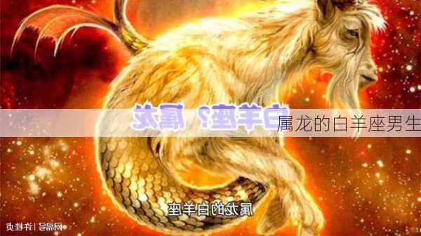 属龙的白羊座男生-第3张图片-滋味星座网