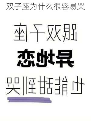 双子座为什么很容易哭-第3张图片-滋味星座网