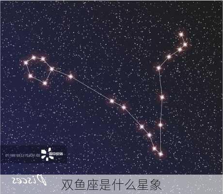 双鱼座是什么星象