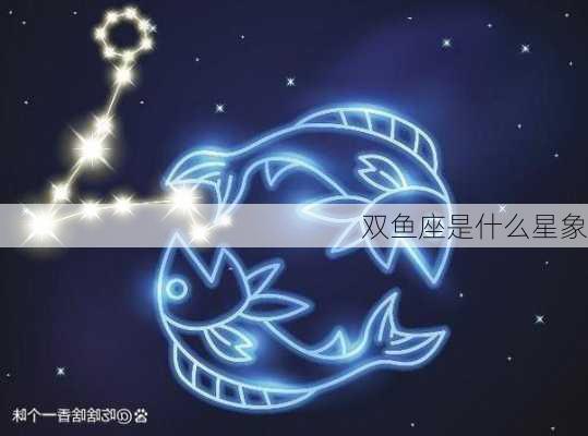 双鱼座是什么星象-第3张图片-滋味星座网