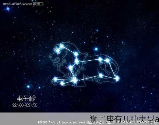 狮子座有几种类型a-第3张图片-滋味星座网