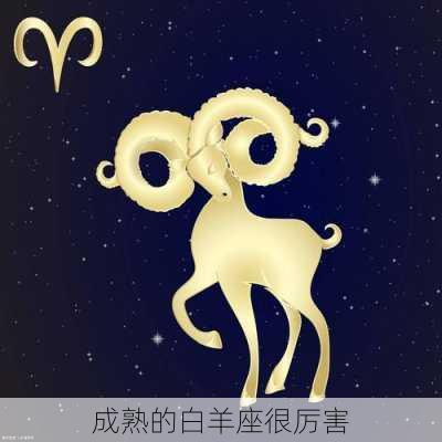 成熟的白羊座很厉害-第2张图片-滋味星座网