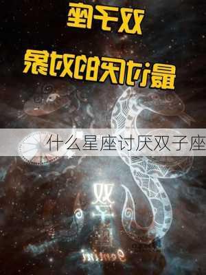 什么星座讨厌双子座-第2张图片-滋味星座网