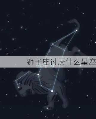 狮子座讨厌什么星座-第1张图片-滋味星座网