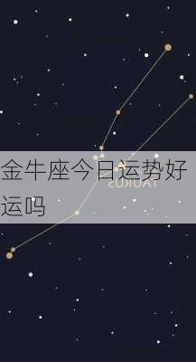 金牛座今日运势好运吗