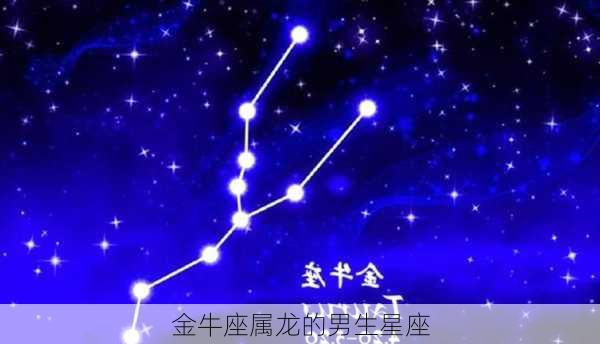 金牛座属龙的男生星座-第2张图片-滋味星座网