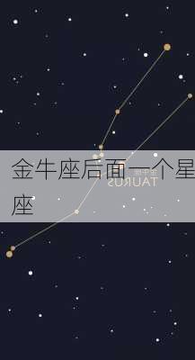 金牛座后面一个星座