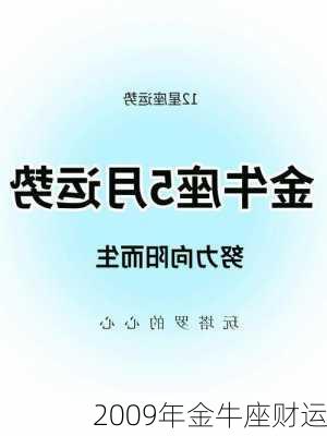 2009年金牛座财运-第3张图片-滋味星座网