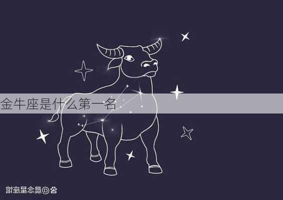 金牛座是什么第一名-第3张图片-滋味星座网