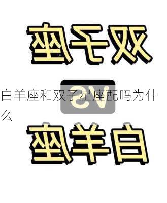 白羊座和双子星座配吗为什么-第2张图片-滋味星座网