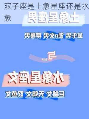 双子座是土象星座还是水象-第2张图片-滋味星座网