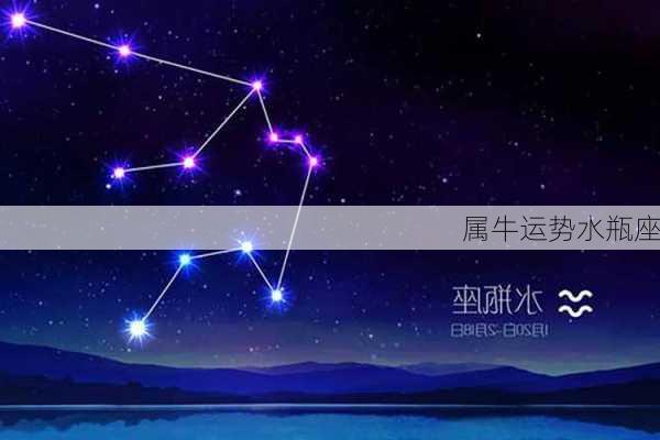 属牛运势水瓶座-第2张图片-滋味星座网