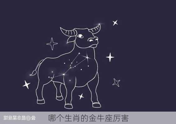 哪个生肖的金牛座厉害-第2张图片-滋味星座网