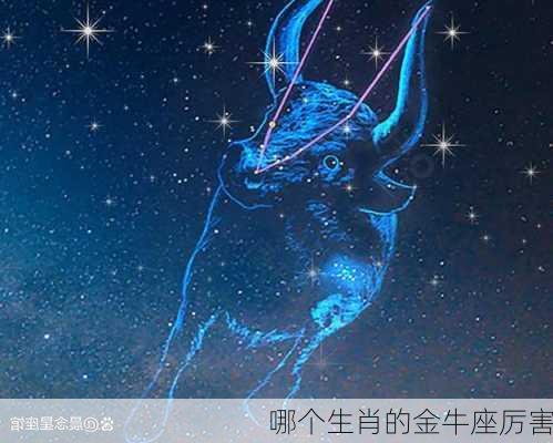 哪个生肖的金牛座厉害-第3张图片-滋味星座网