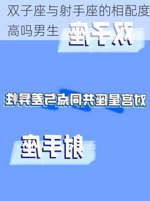 双子座与射手座的相配度高吗男生