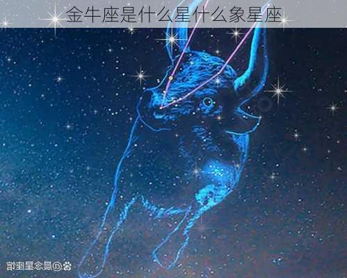 金牛座是什么星什么象星座-第3张图片-滋味星座网