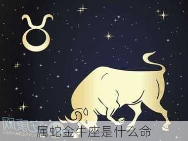 属蛇金牛座是什么命-第3张图片-滋味星座网