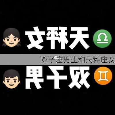 双子座男生和天秤座女-第3张图片-滋味星座网