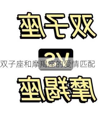 双子座和摩羯座的爱情匹配-第2张图片-滋味星座网