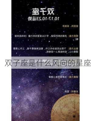 双子座是什么风向的星座-第2张图片-滋味星座网