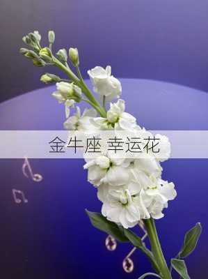 金牛座 幸运花-第3张图片-滋味星座网