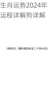 生肖运势2024年运程详解狗详解